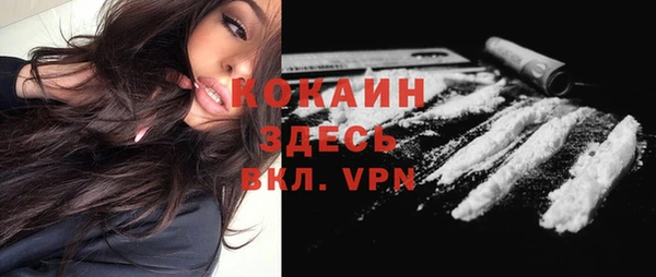 СК Вяземский