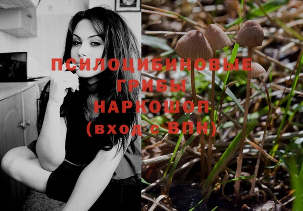 герыч Вязьма