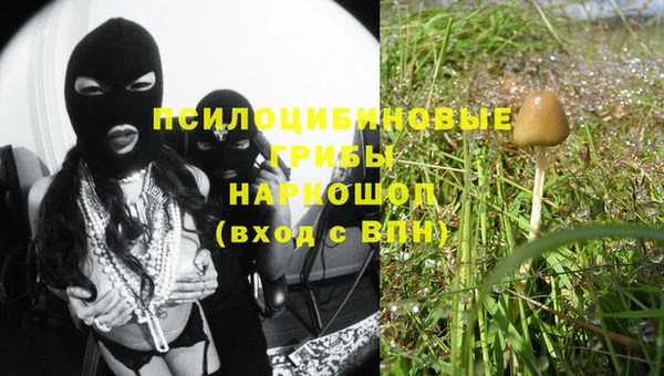 СК Вяземский