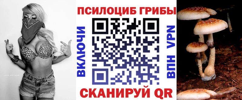 mega ССЫЛКА Москва Галлюциногенные грибы мухоморы дарнет шоп