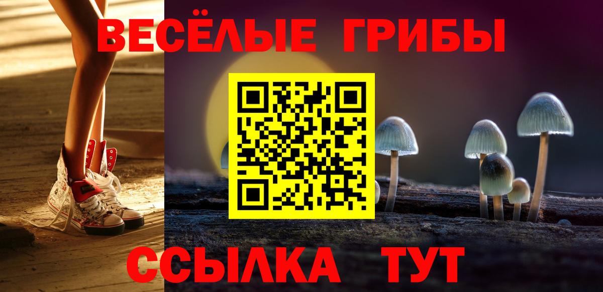 купить закладку  Вход с VPN  Москва  Галлюциногенные грибы мицелий 