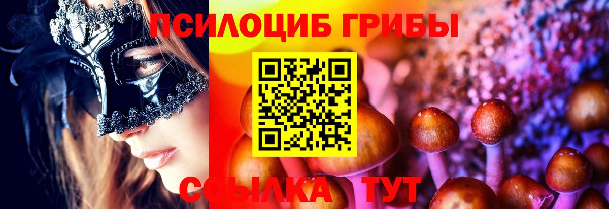 Псилоцибиновые грибы мицелий Москва
